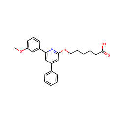 COc1cccc(-c2cc(-c3ccccc3)cc(OCCCCCC(=O)O)n2)c1 ZINC000013729802