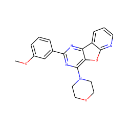 COc1cccc(-c2nc(N3CCOCC3)c3oc4ncccc4c3n2)c1 ZINC000028707094