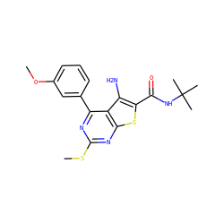 COc1cccc(-c2nc(SC)nc3sc(C(=O)NC(C)(C)C)c(N)c23)c1 ZINC000000602871