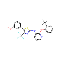 COc1cccc(-c2sc(Nc3cccnc3Oc3ccccc3C(C)(C)C)nc2C(F)(F)F)c1 ZINC000096272805