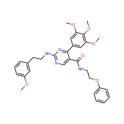 COc1cccc(CCNc2ncc(C(=O)NCCOc3ccccc3)c(-c3cc(OC)c(OC)c(OC)c3)n2)c1 ZINC000049881556