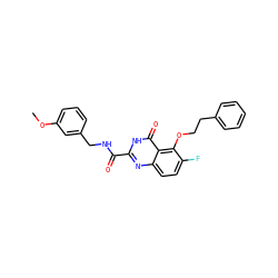 COc1cccc(CNC(=O)c2nc3ccc(F)c(OCCc4ccccc4)c3c(=O)[nH]2)c1 ZINC000204242738