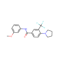 COc1cccc(NC(=O)c2ccc(N3CCCC3)c(C(F)(F)F)c2)c1 ZINC000066074328