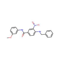 COc1cccc(NC(=O)c2ccc(NCc3ccccc3)c([N+](=O)[O-])c2)c1 ZINC000024812820
