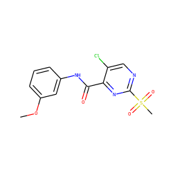 COc1cccc(NC(=O)c2nc(S(C)(=O)=O)ncc2Cl)c1 ZINC000003216911