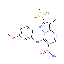 COc1cccc(Nc2c(C(N)=O)cnc3c(C)c(S(C)(=O)=O)nn23)c1 ZINC000653785915
