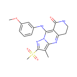 COc1cccc(Nc2c3c(nc4c(C)c(S(C)(=O)=O)nn24)CCNC3=O)c1 ZINC000653793974
