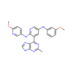 COc1cccc(Nc2cnc(Nc3ccc(OC)nc3)c(-c3nc(C)nc4[nH]cnc34)c2)c1 ZINC000113151862