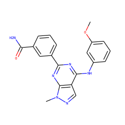 COc1cccc(Nc2nc(-c3cccc(C(N)=O)c3)nc3c2cnn3C)c1 ZINC000064538978