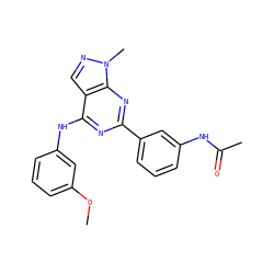 COc1cccc(Nc2nc(-c3cccc(NC(C)=O)c3)nc3c2cnn3C)c1 ZINC000064539967
