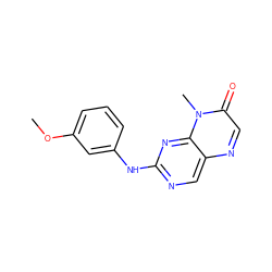 COc1cccc(Nc2ncc3ncc(=O)n(C)c3n2)c1 ZINC000004238705