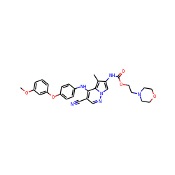 COc1cccc(Oc2ccc(Nc3c(C#N)cnn4cc(NC(=O)OCCN5CCOCC5)c(C)c34)cc2)c1 ZINC000028569192