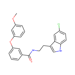 COc1cccc(Oc2cccc(C(=O)NCCc3c[nH]c4ccc(Cl)cc34)c2)c1 ZINC000205318600