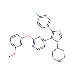 COc1cccc(Oc2nccc(-c3c(-c4ccc(F)cc4)ncn3C3CCNCC3)n2)c1 ZINC000001487009