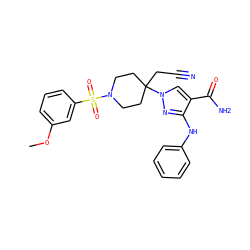 COc1cccc(S(=O)(=O)N2CCC(CC#N)(n3cc(C(N)=O)c(Nc4ccccc4)n3)CC2)c1 ZINC000219275253