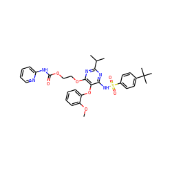 COc1ccccc1Oc1c(NS(=O)(=O)c2ccc(C(C)(C)C)cc2)nc(C(C)C)nc1OCCOC(=O)Nc1ccccn1 ZINC000026289754