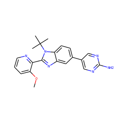 COc1cccnc1-c1nc2cc(-c3cnc(N)nc3)ccc2n1C(C)(C)C ZINC000169703414