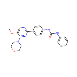 COc1cnc(-c2ccc(NC(=O)Nc3ccccc3)cc2)nc1N1CCOCC1 ZINC000118174838
