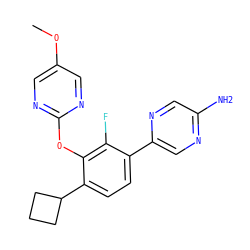 COc1cnc(Oc2c(C3CCC3)ccc(-c3cnc(N)cn3)c2F)nc1 ZINC000224551228
