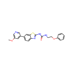 COc1cncc(-c2ccc3nc(NC(=O)NCCOc4ccccc4)sc3c2)c1 ZINC000299821496