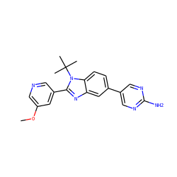 COc1cncc(-c2nc3cc(-c4cnc(N)nc4)ccc3n2C(C)(C)C)c1 ZINC000169254942