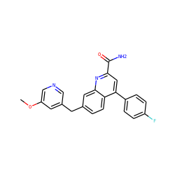 COc1cncc(Cc2ccc3c(-c4ccc(F)cc4)cc(C(N)=O)nc3c2)c1 ZINC000205651454