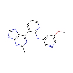 COc1cncc(Nc2ncccc2-c2nc(C)nc3[nH]cnc23)c1 ZINC000113154258