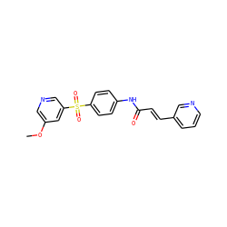 COc1cncc(S(=O)(=O)c2ccc(NC(=O)/C=C/c3cccnc3)cc2)c1 ZINC000142227624