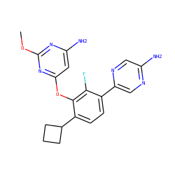 COc1nc(N)cc(Oc2c(C3CCC3)ccc(-c3cnc(N)cn3)c2F)n1 ZINC000224561717
