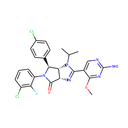 COc1nc(N)ncc1C1=N[C@@H]2C(=O)N(c3cccc(Cl)c3F)[C@@H](c3ccc(Cl)cc3)[C@@H]2N1C(C)C ZINC000169705697