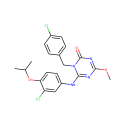 COc1nc(Nc2ccc(OC(C)C)c(Cl)c2)n(Cc2ccc(Cl)cc2)c(=O)n1 ZINC000200505454