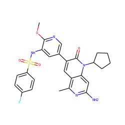 COc1ncc(-c2cc3c(C)nc(N)cc3n(C3CCCC3)c2=O)cc1NS(=O)(=O)c1ccc(F)cc1 ZINC000103259776