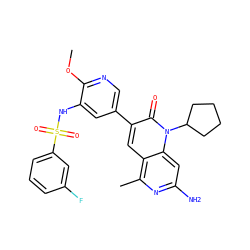 COc1ncc(-c2cc3c(C)nc(N)cc3n(C3CCCC3)c2=O)cc1NS(=O)(=O)c1cccc(F)c1 ZINC000103259779
