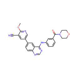 COc1ncc(-c2ccc3ncnc(Nc4cccc(C(=O)N5CCOCC5)c4)c3c2)cc1C#N ZINC001772604106