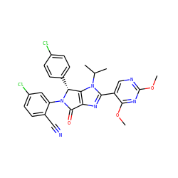 COc1ncc(-c2nc3c(n2C(C)C)[C@@H](c2ccc(Cl)cc2)N(c2cc(Cl)ccc2C#N)C3=O)c(OC)n1 ZINC000169705585