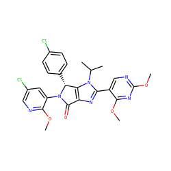 COc1ncc(-c2nc3c(n2C(C)C)[C@@H](c2ccc(Cl)cc2)N(c2cc(Cl)cnc2OC)C3=O)c(OC)n1 ZINC000169705837