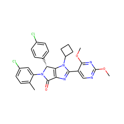 COc1ncc(-c2nc3c(n2C2CCC2)[C@@H](c2ccc(Cl)cc2)N(c2cc(Cl)ccc2C)C3=O)c(OC)n1 ZINC000169705529