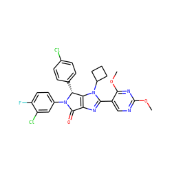 COc1ncc(-c2nc3c(n2C2CCC2)[C@@H](c2ccc(Cl)cc2)N(c2ccc(F)c(Cl)c2)C3=O)c(OC)n1 ZINC000169705527