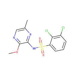 COc1ncc(C)nc1NS(=O)(=O)c1cccc(Cl)c1Cl ZINC000116960313