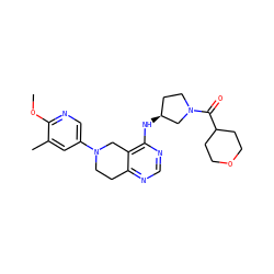 COc1ncc(N2CCc3ncnc(N[C@H]4CCN(C(=O)C5CCOCC5)C4)c3C2)cc1C ZINC000113566913
