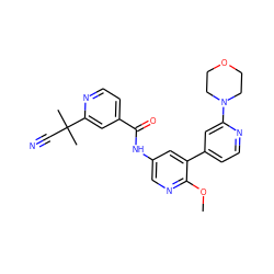 COc1ncc(NC(=O)c2ccnc(C(C)(C)C#N)c2)cc1-c1ccnc(N2CCOCC2)c1 ZINC000220662713
