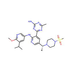 COc1ncc(Nc2ncc([C@@H](C)N3CCN(S(C)(=O)=O)CC3)cc2-c2nc(C)nc(N)n2)cc1C(C)C ZINC000113241495