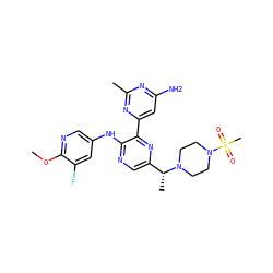 COc1ncc(Nc2ncc([C@@H](C)N3CCN(S(C)(=O)=O)CC3)nc2-c2cc(N)nc(C)n2)cc1F ZINC000113151020