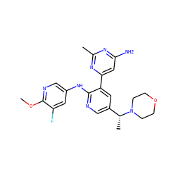 COc1ncc(Nc2ncc([C@@H](C)N3CCOCC3)cc2-c2cc(N)nc(C)n2)cc1F ZINC000113152829