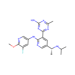 COc1ncc(Nc2ncc([C@@H](C)NC(C)C)cc2-c2nc(C)nc(N)n2)cc1F ZINC000113242521