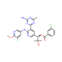 COc1ncc(Nc2ncc([C@@H](OC(=O)c3cccc(Cl)c3)C(C)(C)O)cc2-c2nc(C)nc(N)n2)cc1F ZINC000139814148