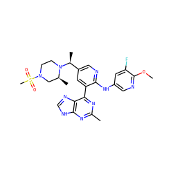 COc1ncc(Nc2ncc([C@H](C)N3CCN(S(C)(=O)=O)C[C@@H]3C)cc2-c2nc(C)nc3[nH]cnc23)cc1F ZINC000113153435