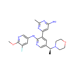 COc1ncc(Nc2ncc([C@H](C)N3CCOCC3)cc2-c2cc(N)nc(C)n2)cc1F ZINC000113152831