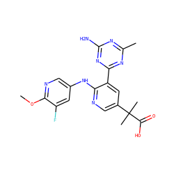 COc1ncc(Nc2ncc(C(C)(C)C(=O)O)cc2-c2nc(C)nc(N)n2)cc1F ZINC000113238219