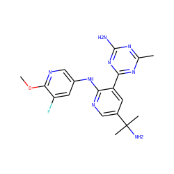 COc1ncc(Nc2ncc(C(C)(C)N)cc2-c2nc(C)nc(N)n2)cc1F ZINC000113153746
